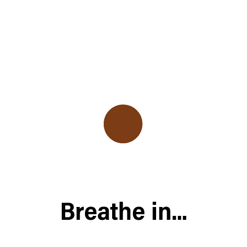 Guided breathing animation: breathe in, hold, breathe out