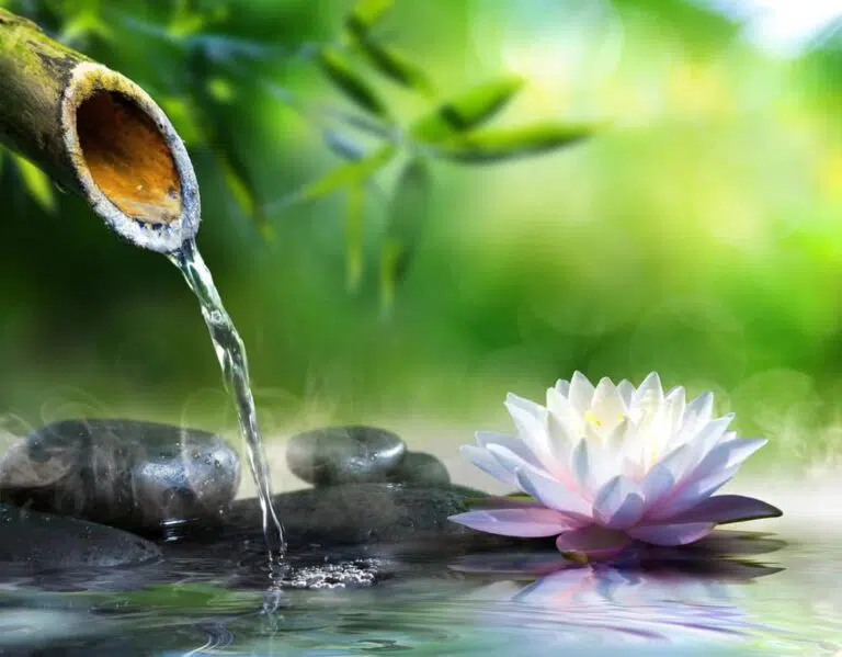 Meditation for Anxiety & stress management