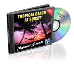 tropical beach nature sound