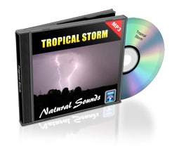 tropical storm sounds