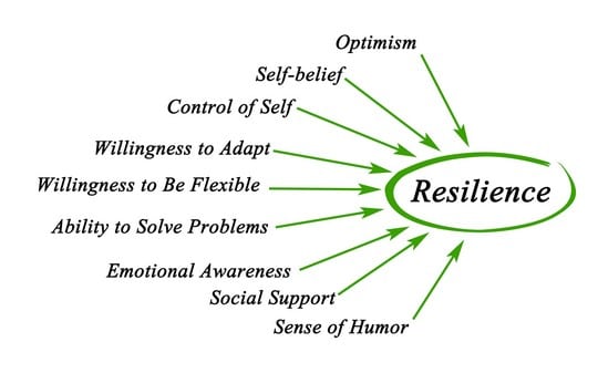 what is resilience