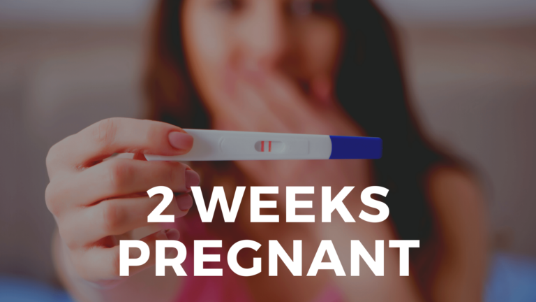 2 Weeks Pregnant: Symptoms, Development & Tips