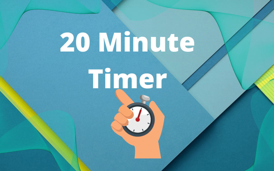 20 Minute Timer with Alarm