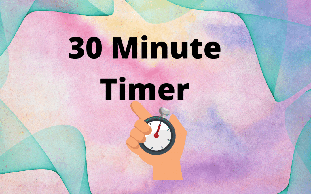 30 Minute Timer with Alarm