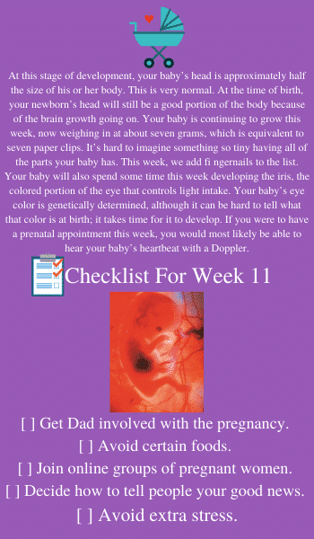 baby in utero at 11 weeks