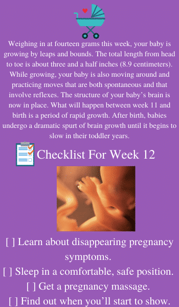 checklist for week 12 of pregnancy