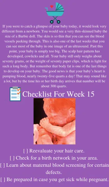 15 weeks pregnancy tips