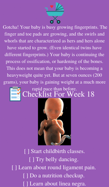 baby development 18 weeks