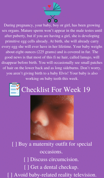 19 weeks of pregnancy tips