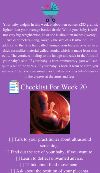 20 weeks baby in uterous