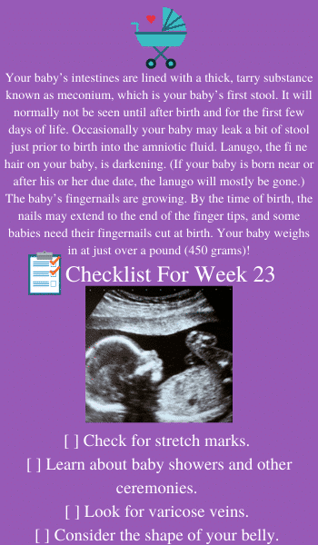 23 weeks of pregnancy tips