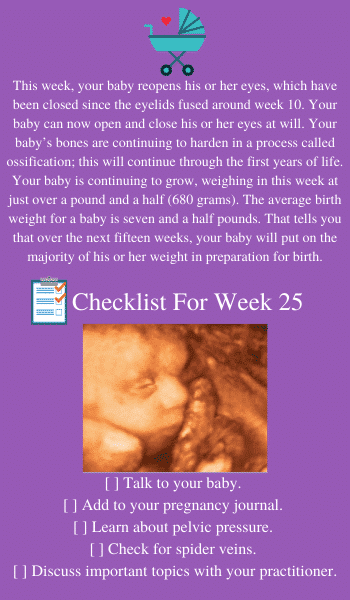 baby development at 25 weeks