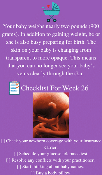 baby in utero at 26 weeks