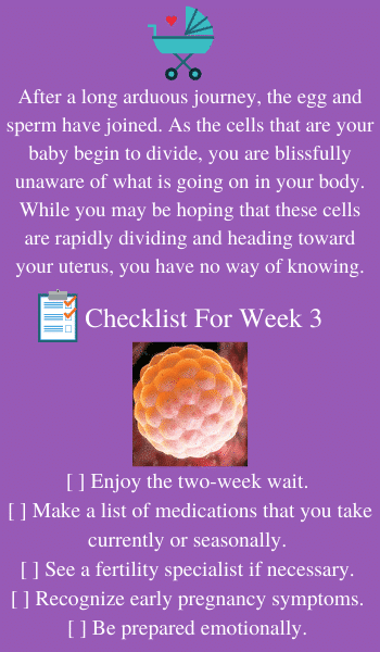 week 3 pregnancy checklist