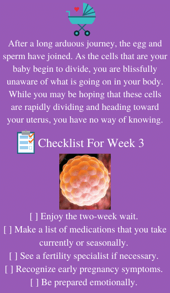 8 Weeks Pregnant: Symptoms, Belly Pictures & More