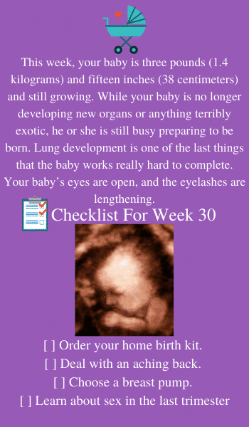 30 Weeks Pregnant: Signs, Tips, Symptoms & Baby's Development