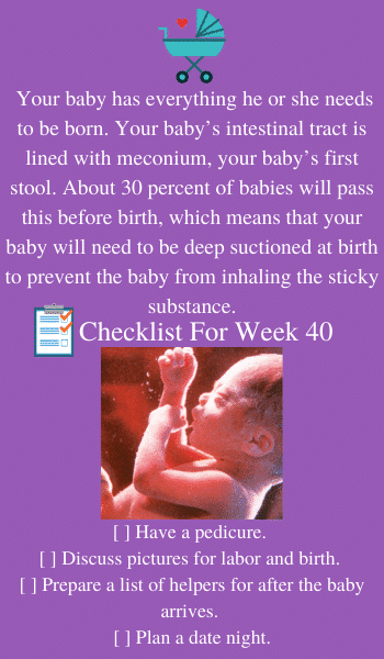 baby development at 40 weeks pregnancy