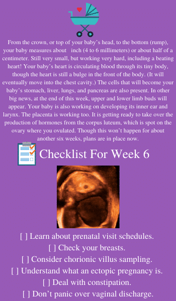 6 weeks pregnant tips