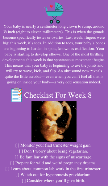 8 weeks ultrasound & tips