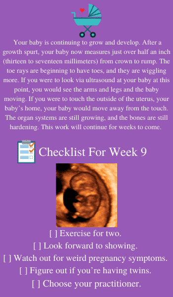 baby in utero at 9 weeks