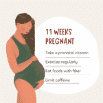 11 Weeks Pregnant