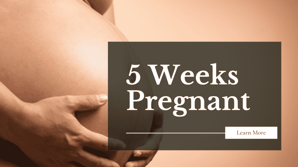 5 Weeks Pregnant - Baby Development, Symptoms &amp; Signs | MindTastik