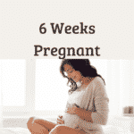 6 weeks pregnant
