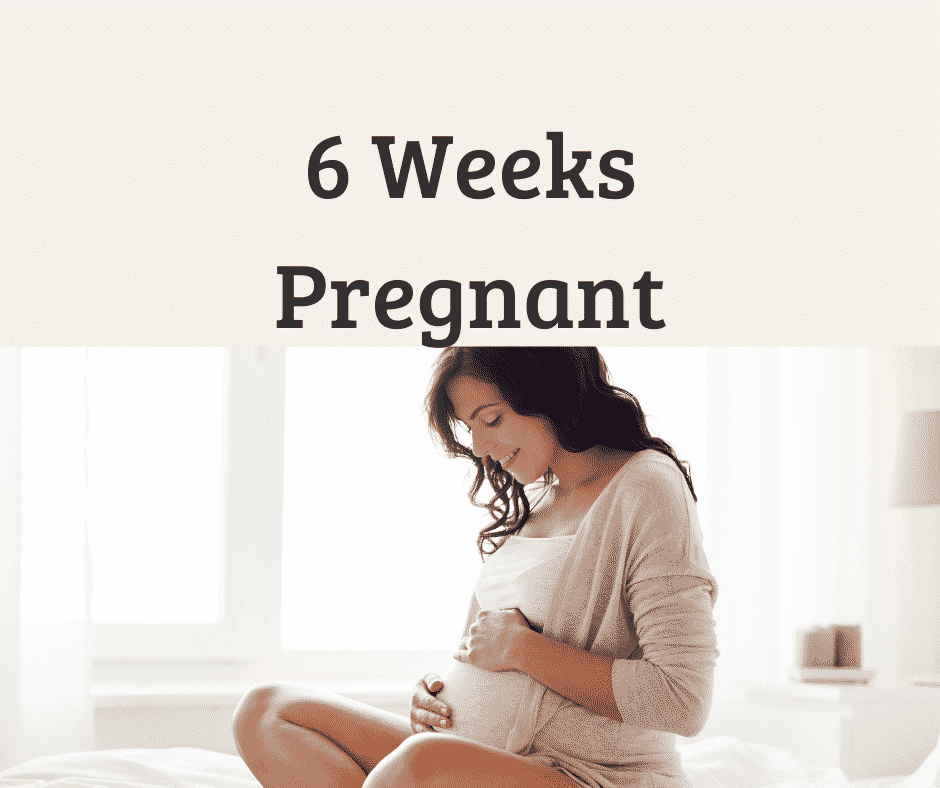 6 weeks pregnant