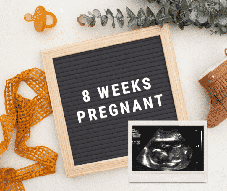 8 weeks pregnant: Symptoms, Belly Pictures & More