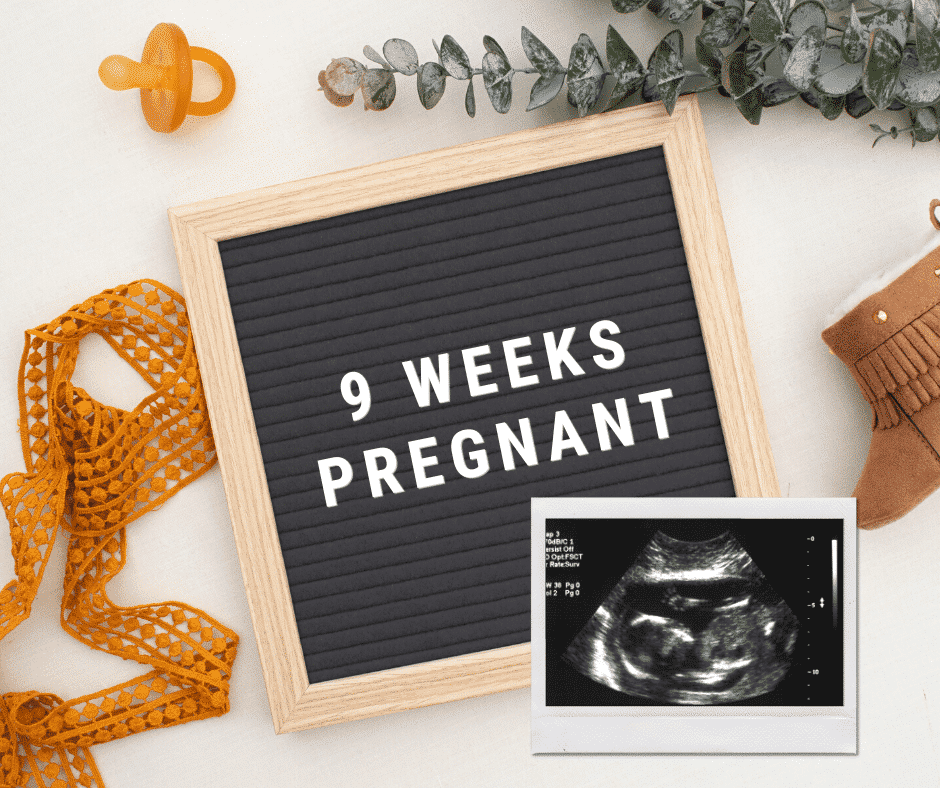 9 Weeks Pregnant