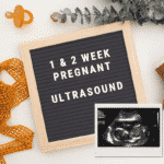 1 & 2 week pregnant ultrasound