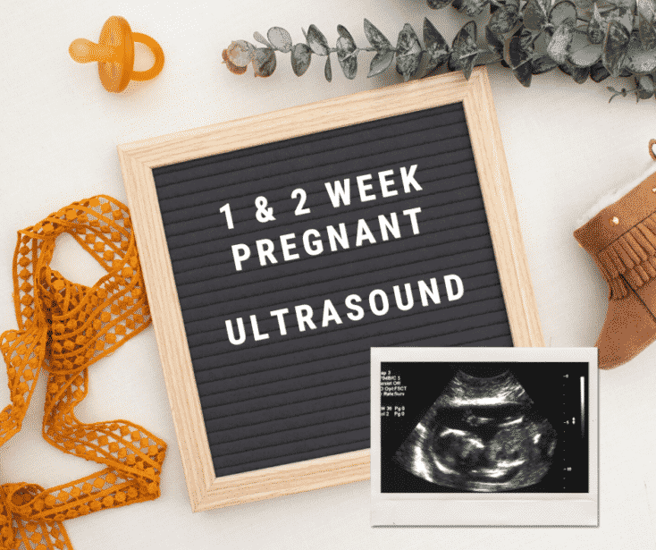 1 & 2 week pregnant ultrasound