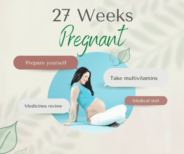 27 Weeks Pregnant