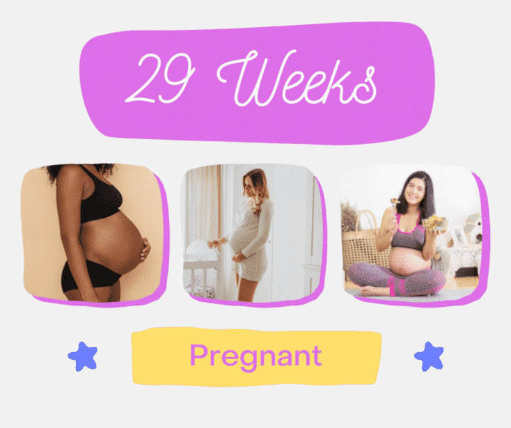 29 Weeks pregnant