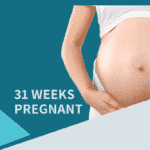 31 Weeks pregnant
