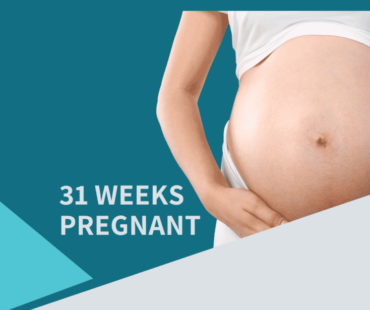 31 Weeks pregnant