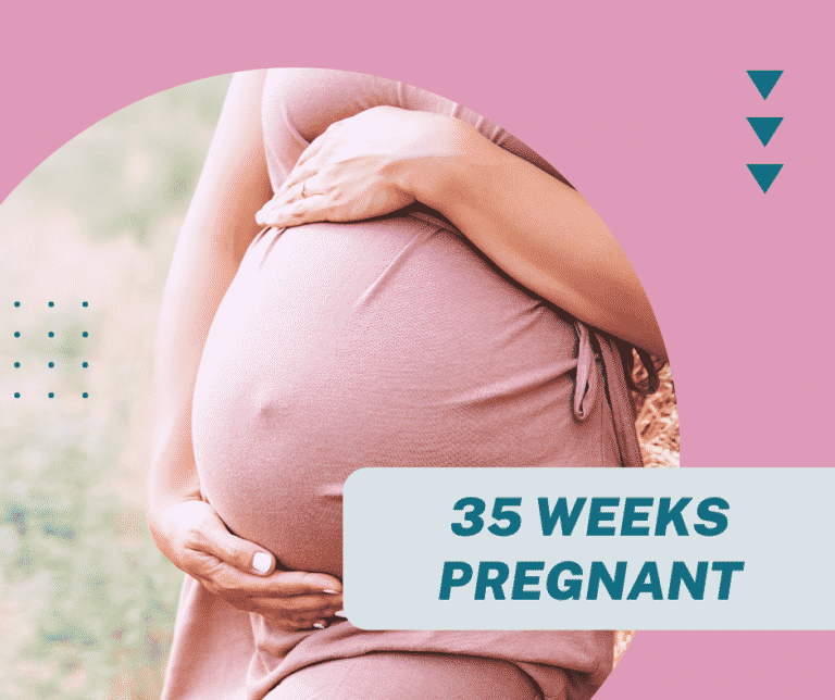 35 Weeks Pregnant: Signs, Tips, Symptoms & Baby’s Development