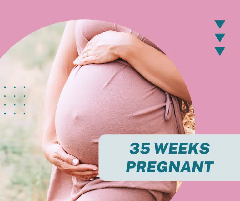 35 Weeks Pregnant: Signs, Tips, Symptoms & Baby’s Development