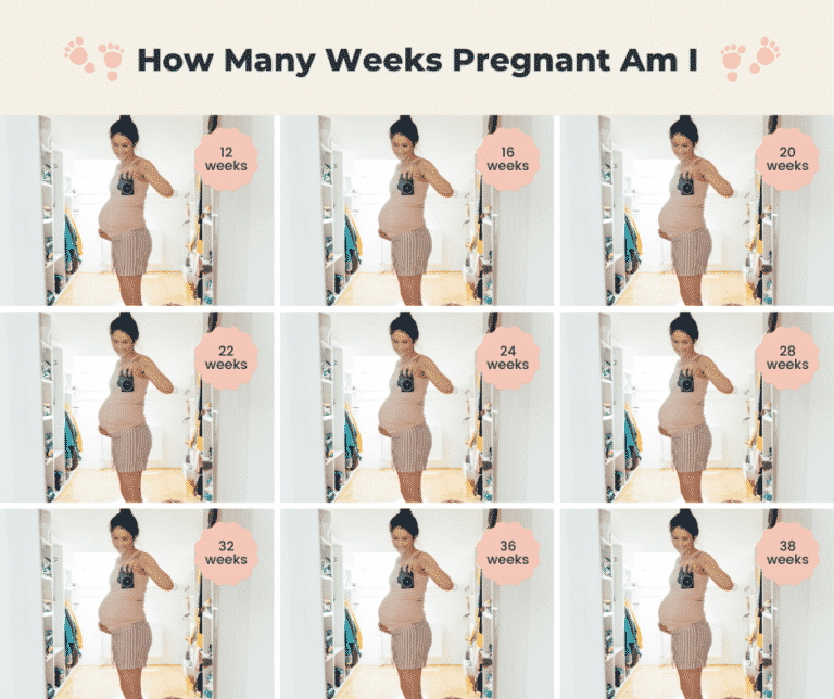 How Many Weeks Pregnant Am I? Due Date Calculator on Last Menstrual Period