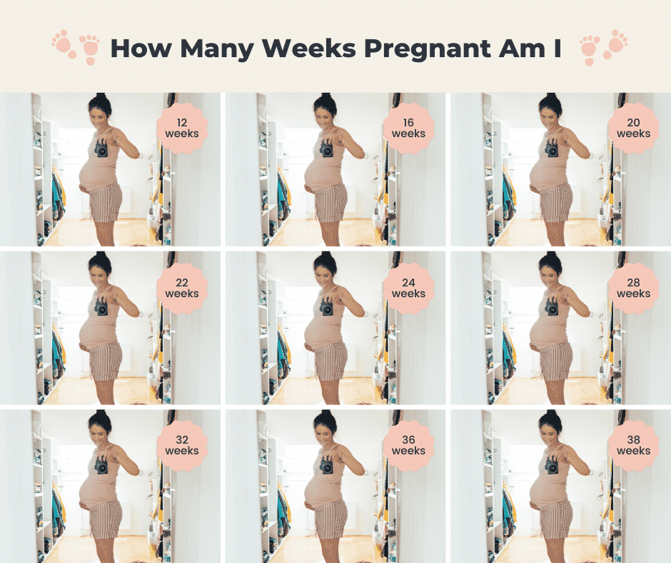 How Many Weeks Pregnant Am I