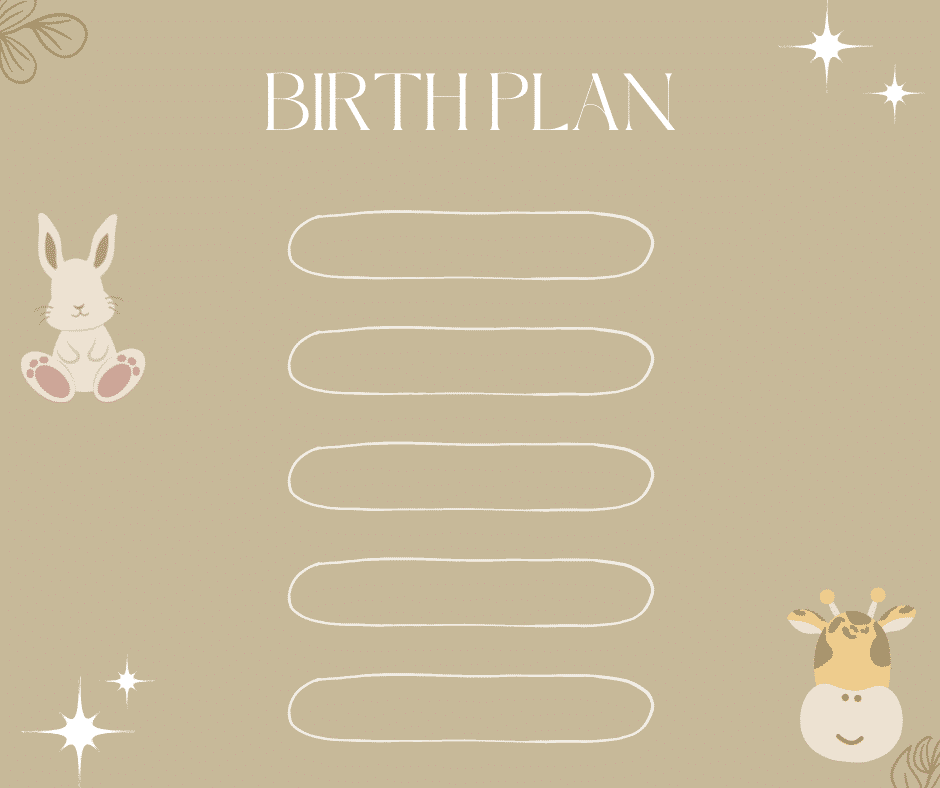make a birth plan few copies for birth team