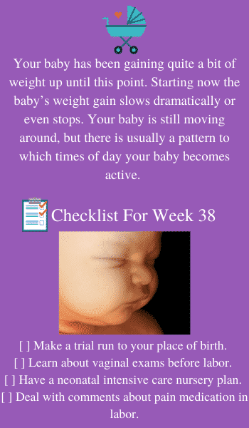 Pregnancy week 38, Pregnancy articles & support