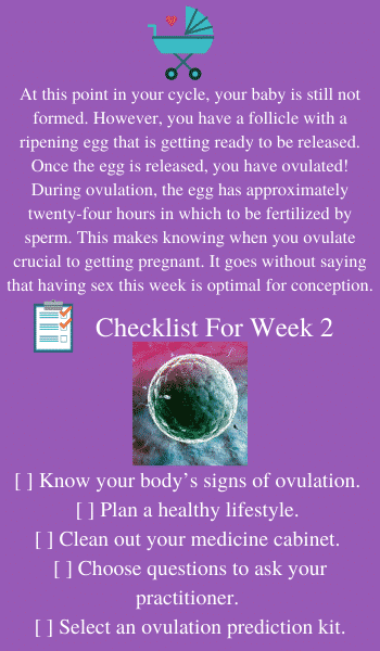 pregnancy ultrasound 2 weeks