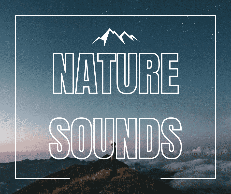 nature sounds